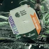Free F1 Seed RQS